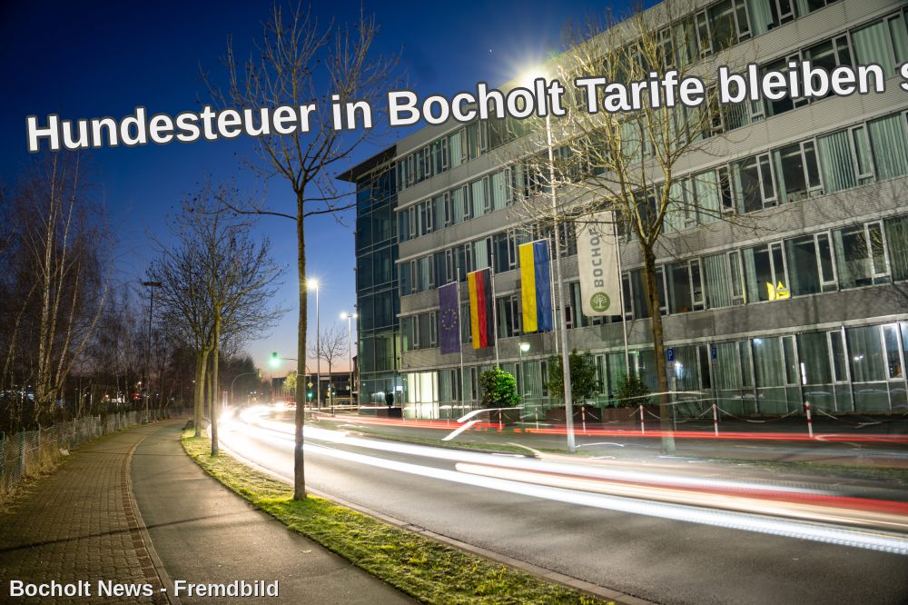 Hundesteuer in Bocholt Tarife bleiben stabil Service wird digitaler